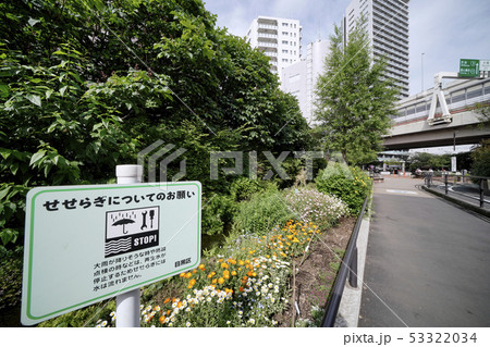 日本の東京都市景観 目黒川緑道などを望む 日本の東京都市景観 目黒川緑道などを望む 53322034