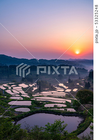 《新潟県》星峠の棚田・自然風景 《新潟県》星峠の棚田・自然風景 53325248