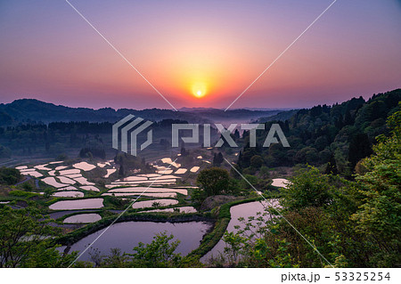《新潟県》星峠の棚田・自然風景 53325254