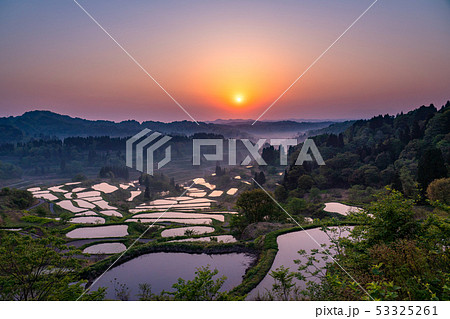 《新潟県》星峠の棚田・自然風景 《新潟県》星峠の棚田・自然風景 53325261