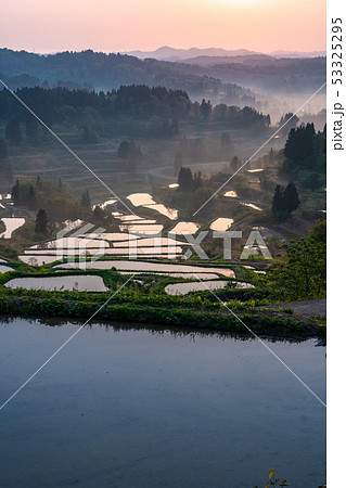 《新潟県》星峠の棚田・自然風景 《新潟県》星峠の棚田・自然風景 53325295