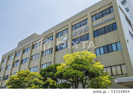 岡山大学　歯学部 53334804