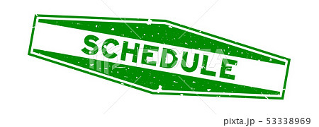 Grunge green schedule word hexagon rubber stamp 53338969