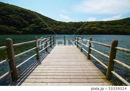大路池の木道 大路池の木道 53339324