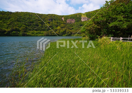 三宅島の大路池の草地 三宅島の大路池の草地 53339333
