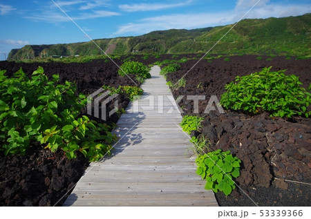 火山体験遊歩道 53339366