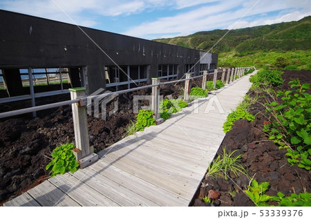 三宅島の遊歩道と学校跡 53339376