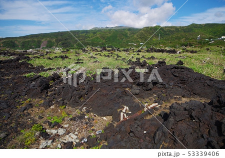 三宅島の草地と溶岩の写真素材 [53339406] - PIXTA