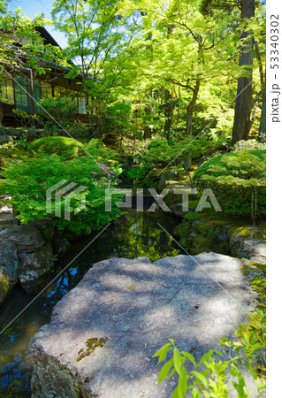 天授庵　池泉回遊式　庭園　ツツジ 53340302