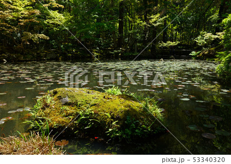 天授庵 池泉回遊式 南禅寺塔頭 天授庵 池泉回遊式 南禅寺塔頭 53340320
