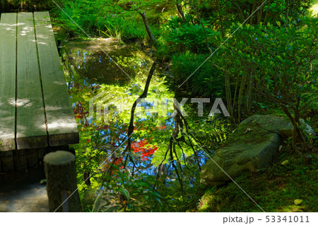 天授庵　池泉回遊式　南禅寺塔頭 53341011