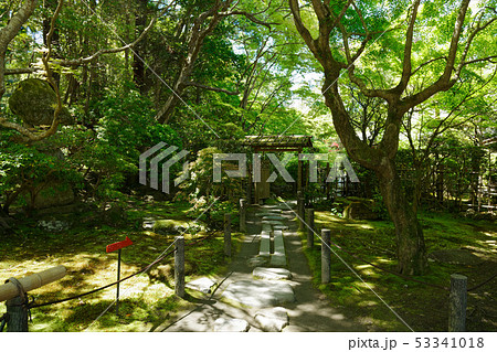 天授庵 庭園 南禅寺塔頭 天授庵 庭園 南禅寺塔頭 53341018