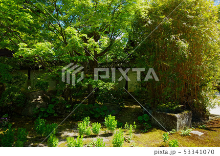 天授庵 庭園 南禅寺塔頭 天授庵 庭園 南禅寺塔頭 53341070