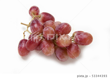 ぶどう 53344393