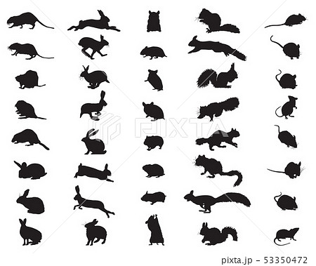 Black silhouettes of rodents on a white background 53350472