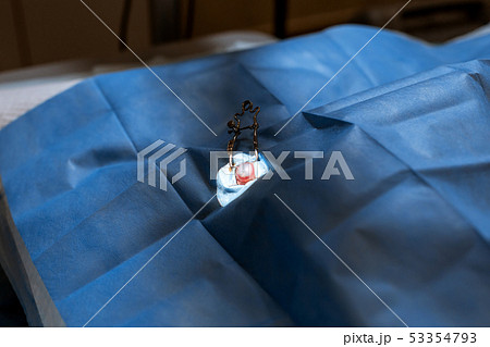 Vet surgeon assistant cover dog with injured eye Vet surgeon assistant cover dog with injured eye 53354793