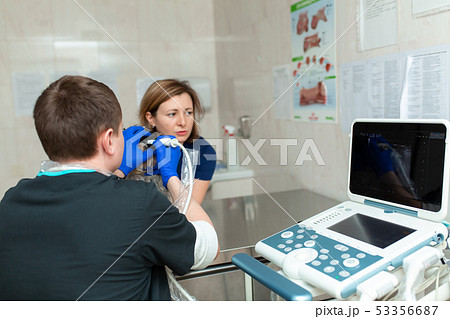 vets do an ultrasound scan of the dog's injured vets do an ultrasound scan of the dog's injured 53356687