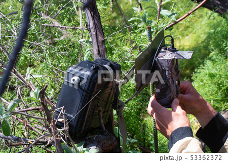 Hands fix camera trap on tree for pictures of animals Hands fix camera trap on tree for pictures of animals 53362372