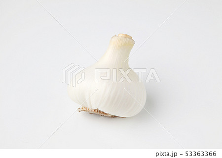 生のニンニク ガーリック 白背景 53363366