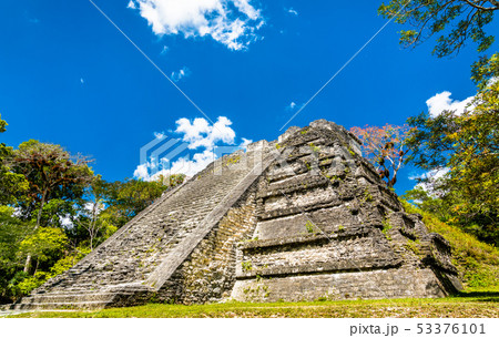 Ancient Mayan ruins at Tikal in Guatemala 53376101