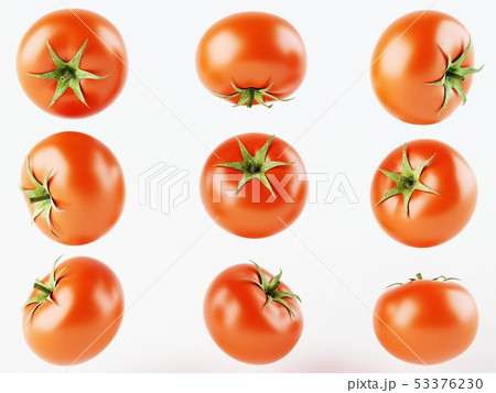 Set of nine isolated tomatoes on a white 53376230