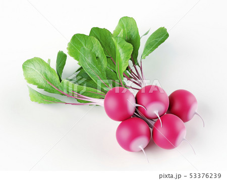 A bunch of fresh radishes with leaves isolated on 53376239