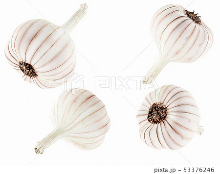 Set of garlic in different angles isolated on 53376246
