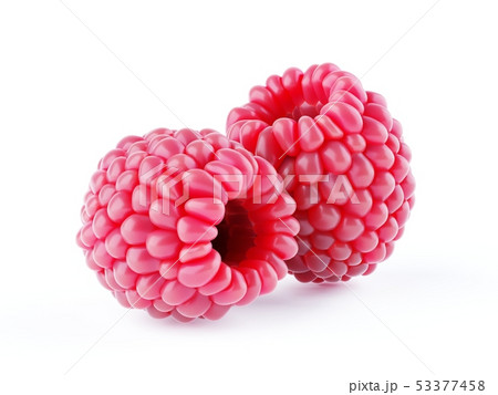 Isolated berries. Two raspberry fruits isolated on Isolated berries. Two raspberry fruits isolated on 53377458