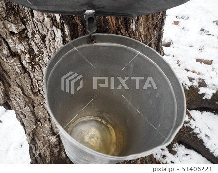 メープルシロップの素 53406221