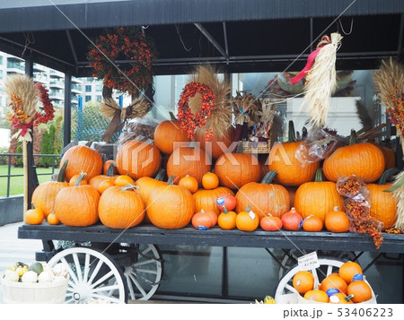 ハロウィーンの準備 53406223