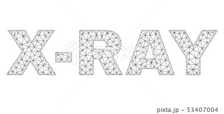 Polygonal Wire Frame X-RAY Text Label 53407004