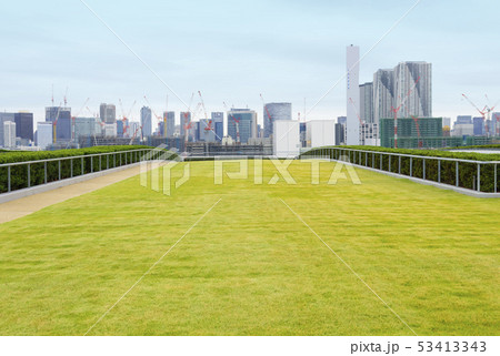 豊洲市場の屋上と都心方向の風景 53413343