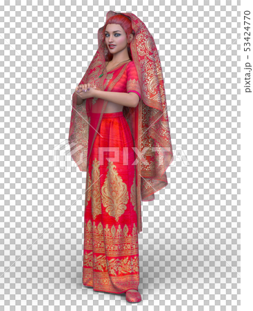 インドの女性 53424770