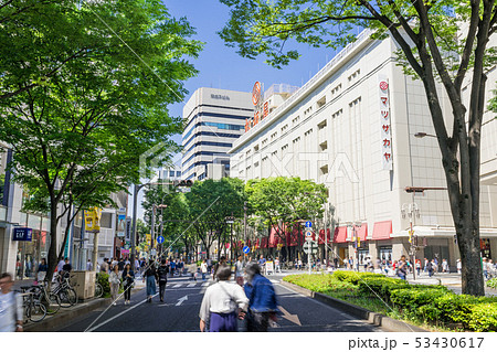 名古屋市中区 栄　大津通　松坂屋　名古屋店　南大津通歩行者天国 53430617