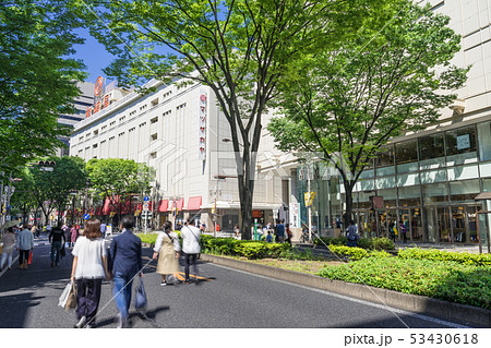 名古屋市中区 栄 大津通 松坂屋 名古屋店 南大津通歩行者天国 名古屋市中区 栄 大津通 松坂屋 名古屋店 南大津通歩行者天国 53430618