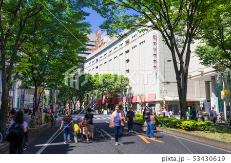 名古屋市中区 栄 大津通 松坂屋 名古屋店 南大津通歩行者天国 名古屋市中区 栄 大津通 松坂屋 名古屋店 南大津通歩行者天国 53430619