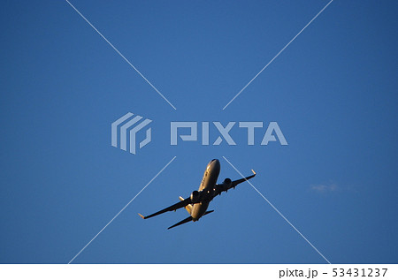 飛行機 飛行機 53431237