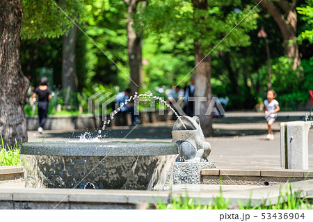 東京　上野公園　蛙の噴水 53436904