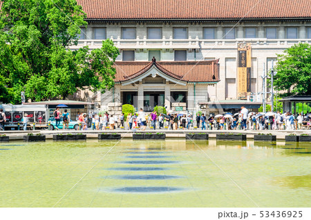 東京　上野公園　竹の台広場 53436925