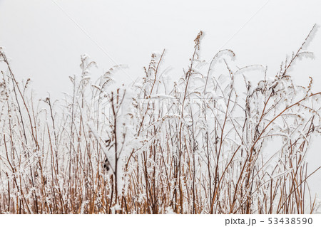 Frozen Winter Landscape in sichuan,China. 53438590