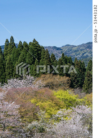 山城　月山富田城から見る風景 53443182