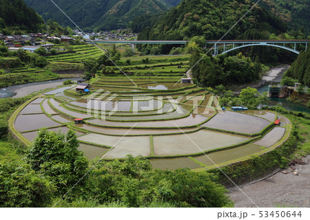 あらぎ島の棚田 【日本の棚田百選 ・ 和歌山県有田川町 】 53450644