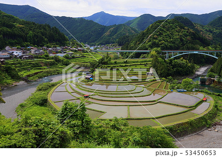 あらぎ島の棚田 【日本の棚田百選 ・ 和歌山県有田川町 】 あらぎ島の棚田 【日本の棚田百選 ・ 和歌山県有田川町 】 53450653