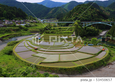 あらぎ島の棚田 【日本の棚田百選 ・ 和歌山県有田川町 】 あらぎ島の棚田 【日本の棚田百選 ・ 和歌山県有田川町 】 53450657
