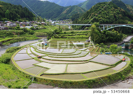 あらぎ島の棚田 【日本の棚田百選 ・ 和歌山県有田川町 】 あらぎ島の棚田 【日本の棚田百選 ・ 和歌山県有田川町 】 53450668