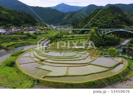 あらぎ島の棚田 【日本の棚田百選 ・ 和歌山県有田川町 】 あらぎ島の棚田 【日本の棚田百選 ・ 和歌山県有田川町 】 53450676