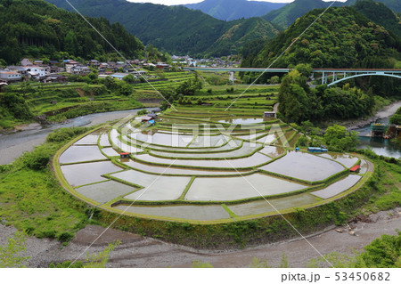 あらぎ島の棚田 【日本の棚田百選 ・ 和歌山県有田川町 】 あらぎ島の棚田 【日本の棚田百選 ・ 和歌山県有田川町 】 53450682