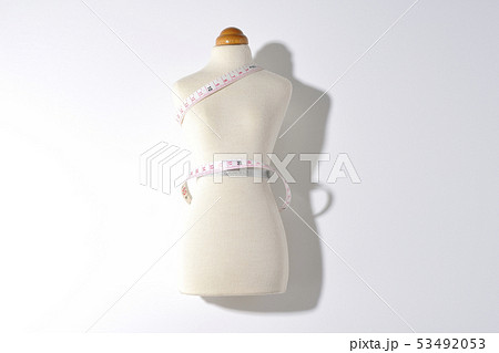 服飾　デザイン　縫製　洋服　トルソー 53492053
