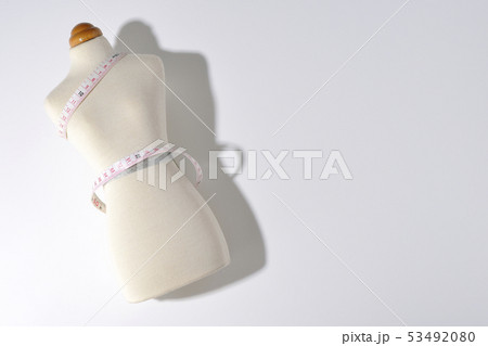 服飾 デザイン 縫製 洋服 トルソー 服飾 デザイン 縫製 洋服 トルソー 53492080