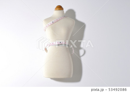服飾　デザイン　縫製　洋服　トルソー 53492086